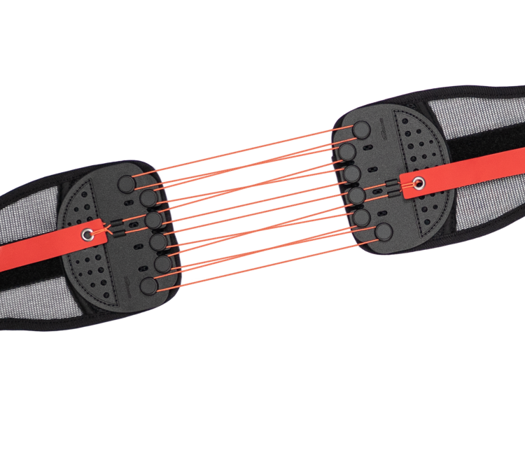 GUARDNER BELT FORLOOP