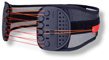 GUARDNER BELT SPORTS